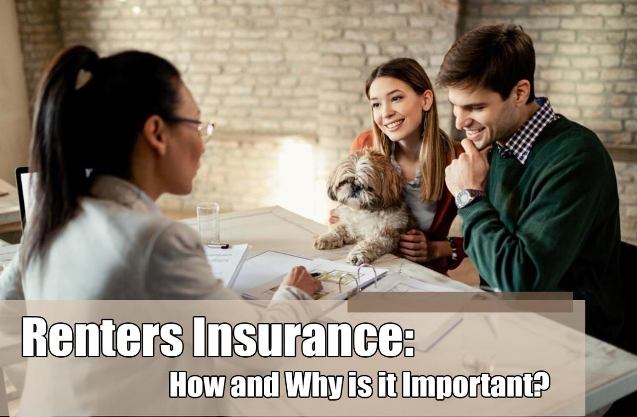 Why is renters insurance important for apartment dwellers?