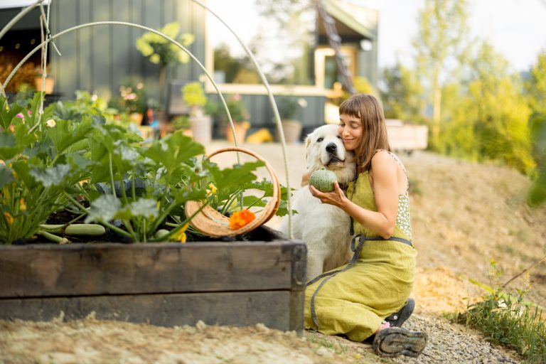 How To Create A Sustainable Daily Routine