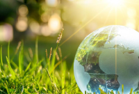 What Is The Role Of Technology In Environmental Sustainability