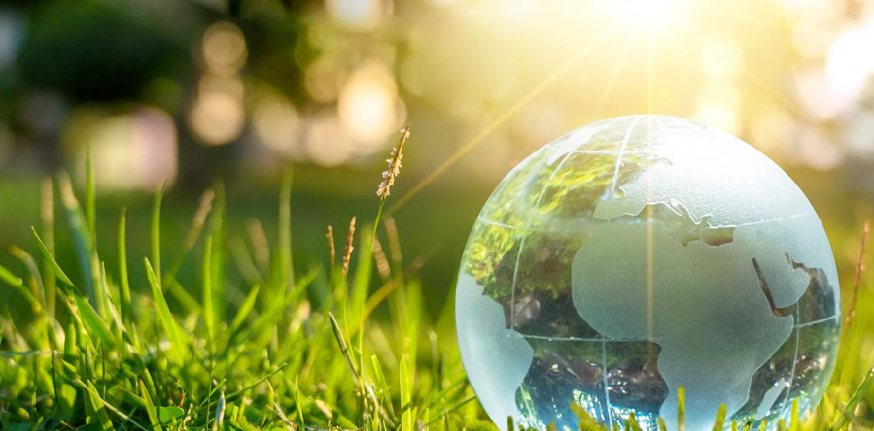 The role of technology in sustainability - Project One The role of technology in sustainability - Project One